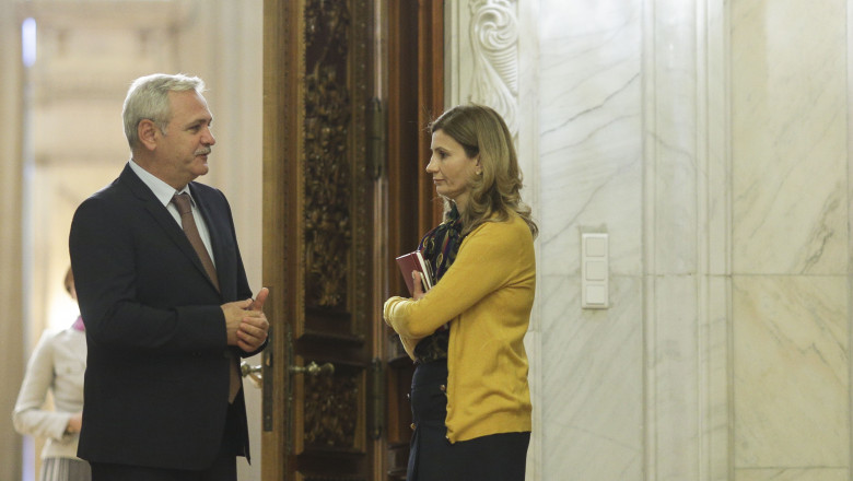Limbaj bădăran al Ancăi Alexandrescu, sinecurista PSD: „fata lui Lasconi, stă în patru labe și latră”