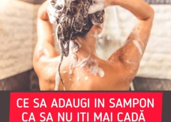 Ce să adaugi în șampon pentru a scăpa de căderea părului. Trucul este simplu, dar efectele sunt uimitoare