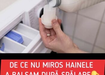 De ce nu miros hainele a balsam după spălare. Greșeli pe care să le eviți