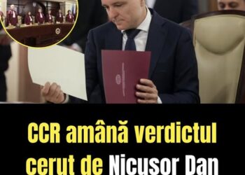 CCR amână verdictul cerut de Nicușor Dan
