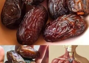 „Unul dintre cele mai sănătoase fructe de pe Pământ: ce se întâmplă în corpul tău dacă mănânci doar 3 pe zi…”