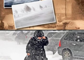 ANM anunță cod portocaliu de ninsori și viscol. Urgia revine în România!