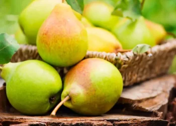 Ciorba de pere, deliciul dulce-acrișor care a cucerit Internetul. Rețeta surprinzător de simplă și incredibil de gustoasă