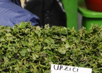 Nu doar pe piele, ci și la portofel! Urzicile au ajuns să „înțepe” serios la preț