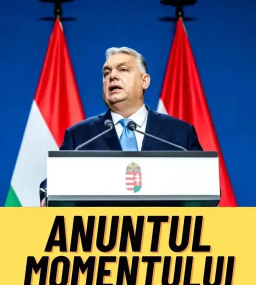 650204676 1378579210976973 113248506550989881 n