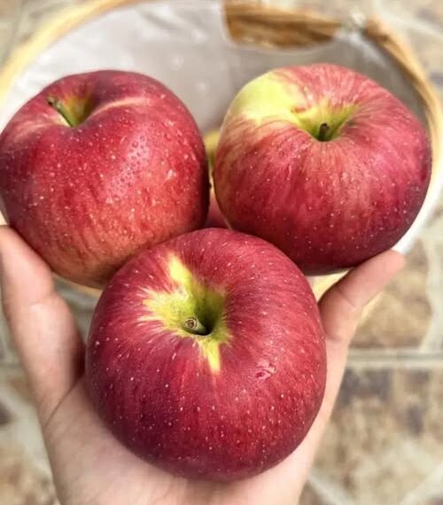 656867985 1391646166336944 4019224831195340835 n