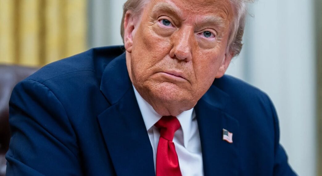 657818147 1360060952819492 5077215896600339764 n (1)