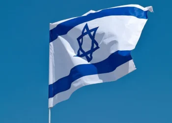 Steag israel FSHpt