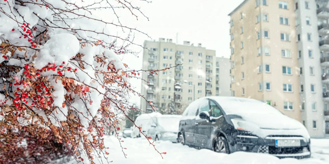 Street,In,Krakow,After,Snowfall,,Plants,And,Buildings,Covered,With