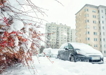Street,In,Krakow,After,Snowfall,,Plants,And,Buildings,Covered,With
