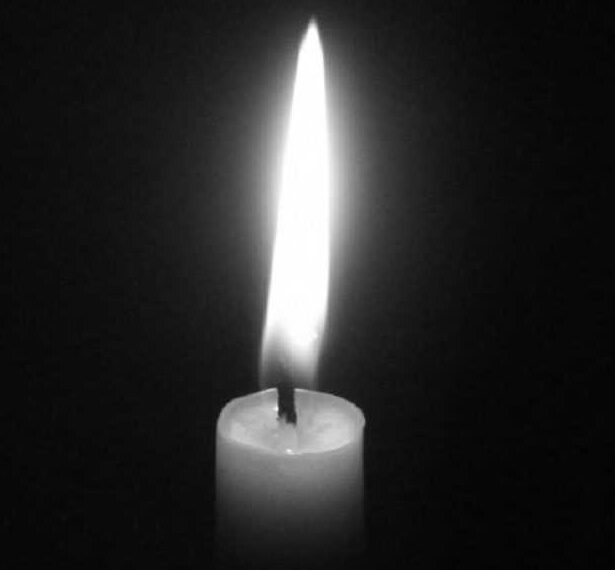 668588370 1371356268356627 3013157529848770236 n