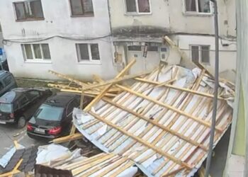 679792725 1384781643680756 1510778625046741734 n