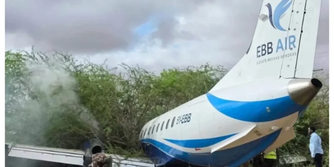 FotoJet 2026 04 24T215243.465 1699x1080