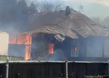 WhatsApp Image 2026 04 26 at 11.43.36