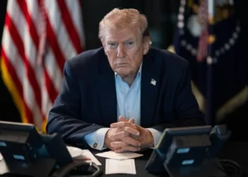 Donald trump TCpLW