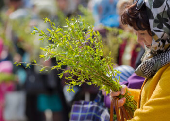 Pe ce data pica floriile in 2024 aceasta zi marcheaza inceputul saptamanii patimilor