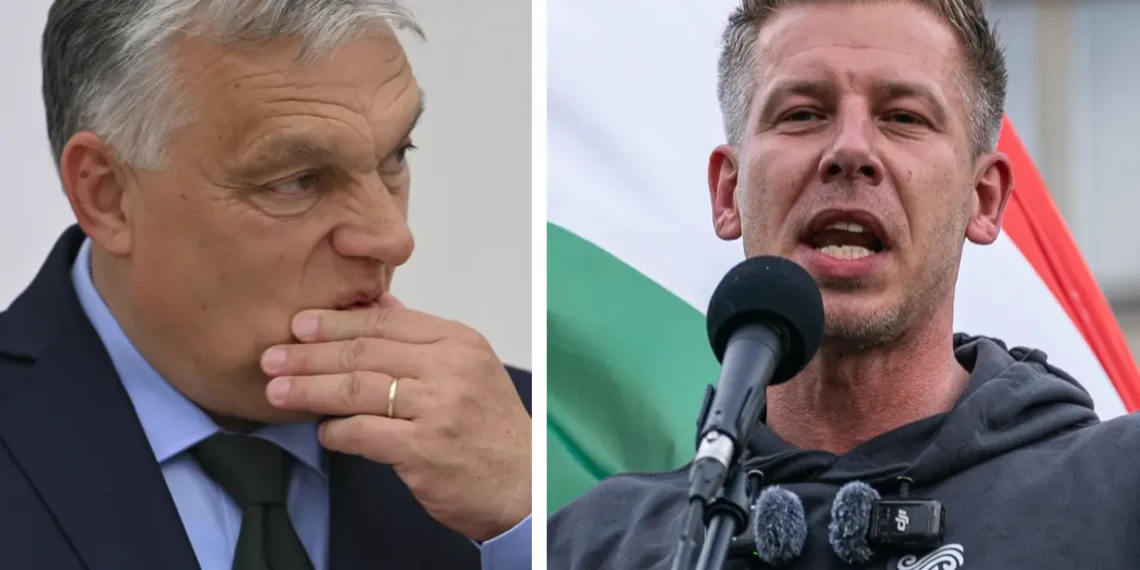 Viktor orban peter magyar