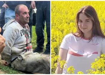 Criminal bihor