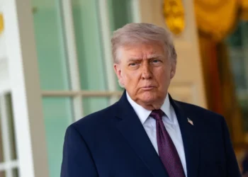 Donald trump 7NLlQ