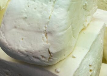 719109752 1423254139834807 3009557128290857362 n