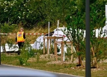 Un avion s-a prăbușit în Franța. Toate persoanele aflate la bord au…