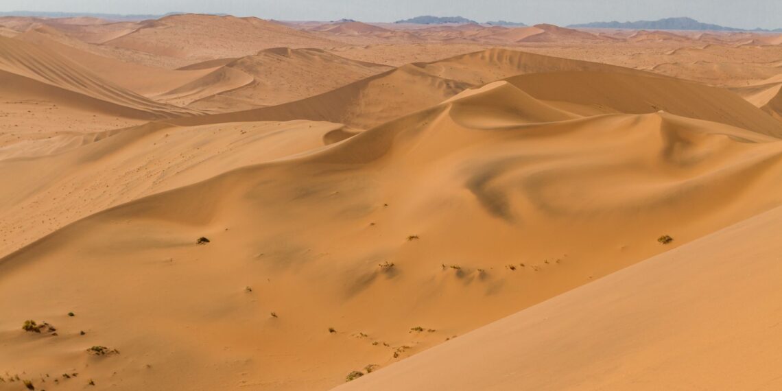 Shutterstock