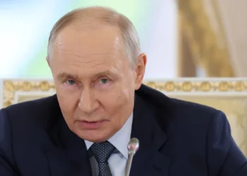 Vladimir putin sankt petersburg