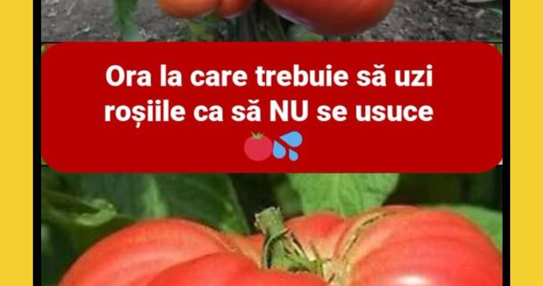 Vrr