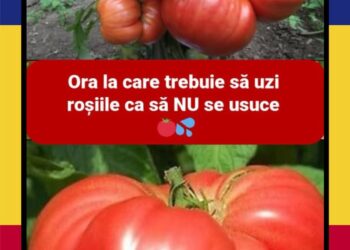 Vrr