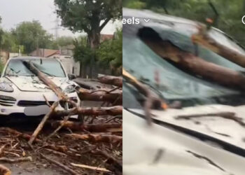Cunoscut cântăreț, la un pas de tragedie după ce un copac i-a strivit mașina: „Era să m0r”